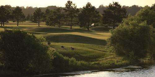 The Rookery Golf Club