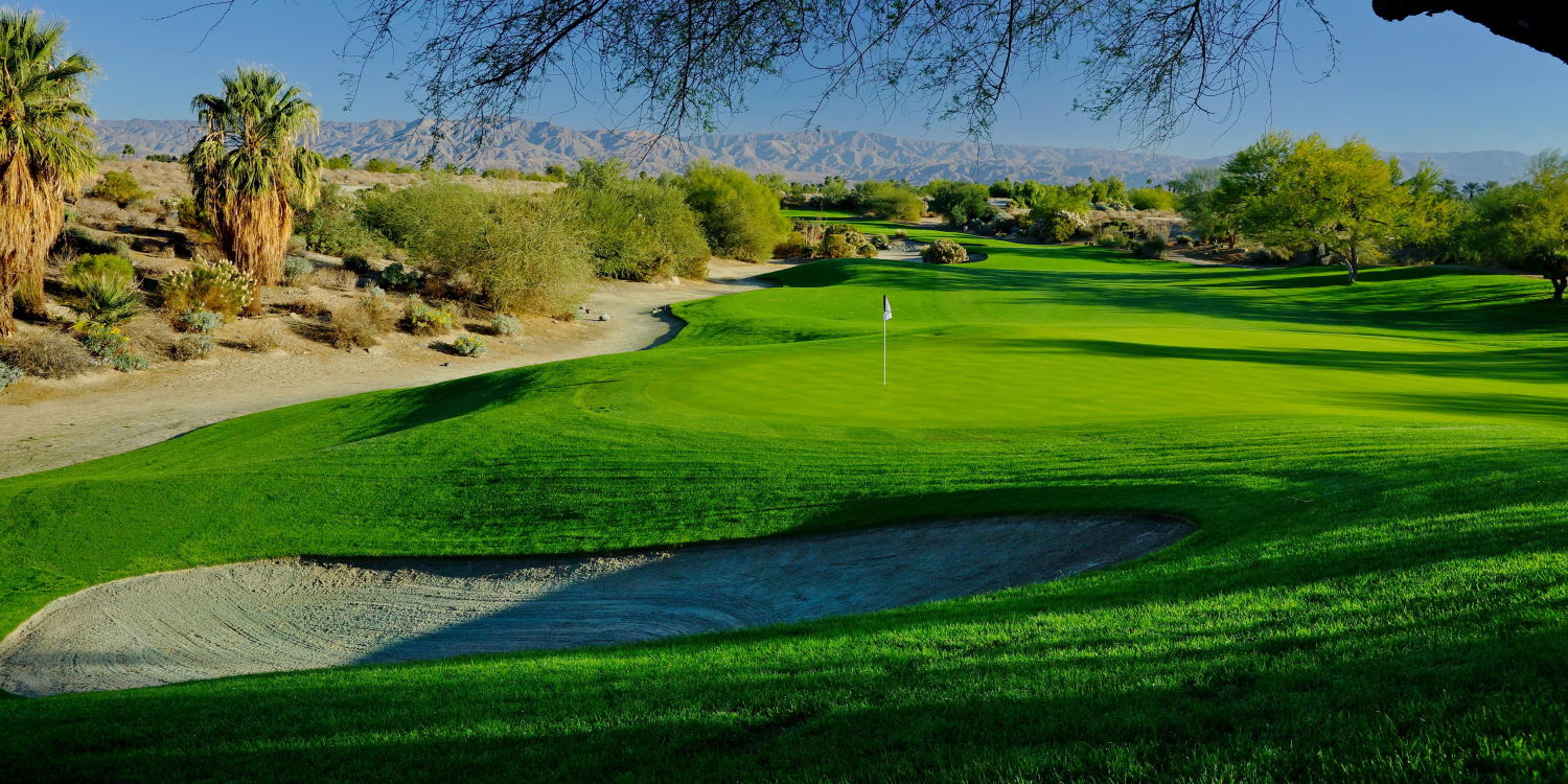 Desert Willow Golf Resort - Mountain View